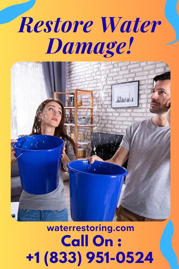 water restoration North Water Cleanup Professionals Maysville