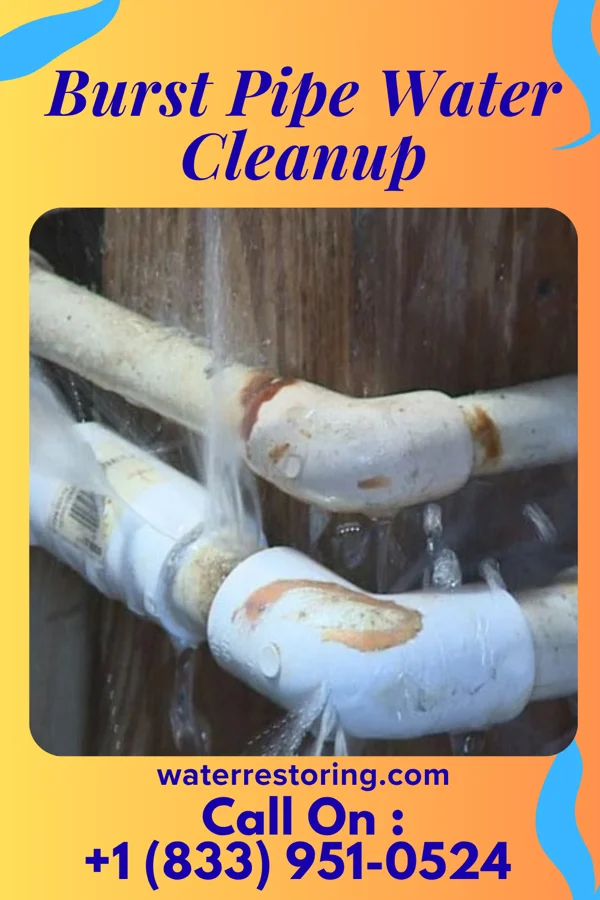Burst Pipe Water Cleanup in Maysville, NC