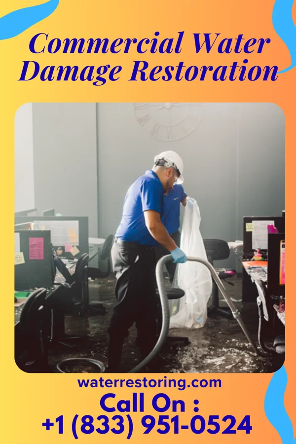 Commercial Water Damage Restoration in Maysville, NC