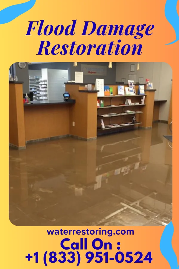 Flood Damage Restoration in Maysville, NC