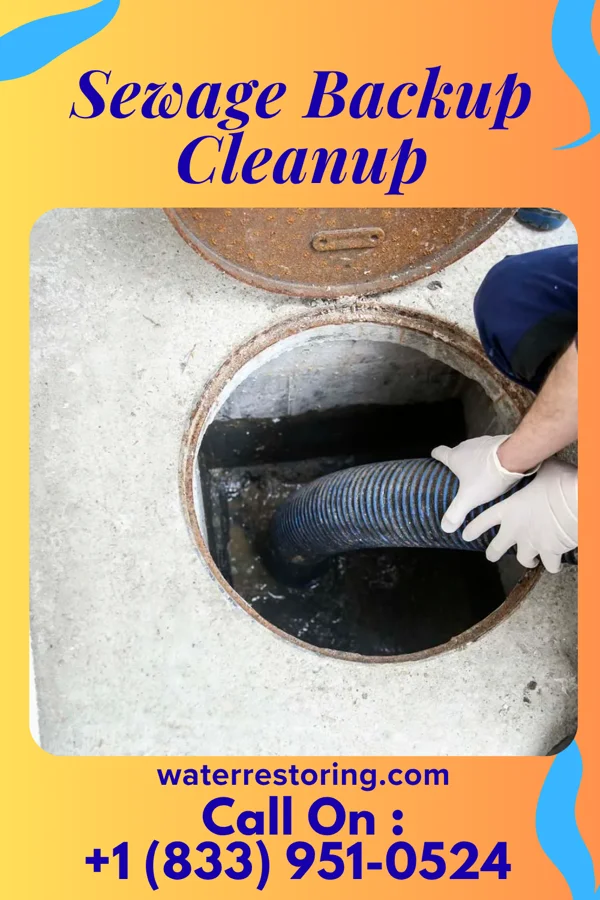 Sewage Backup Cleanup in Maysville, NC
