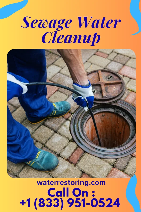 Sewage Water Cleanup in Maysville, NC