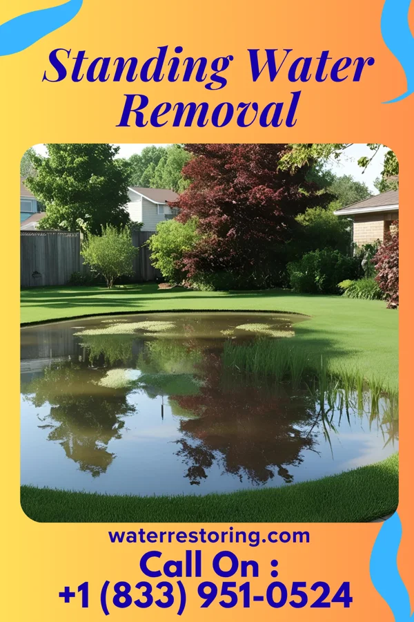 Standing Water Removal in Maysville, NC